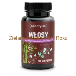 Włosy